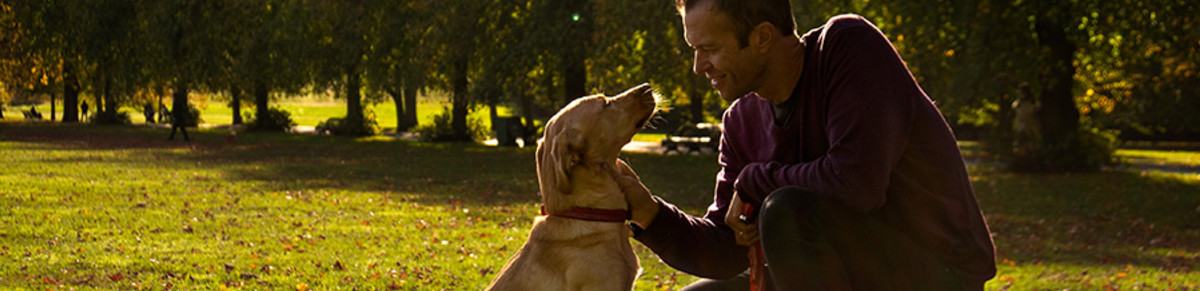 John and Hero playing in Greenwich park